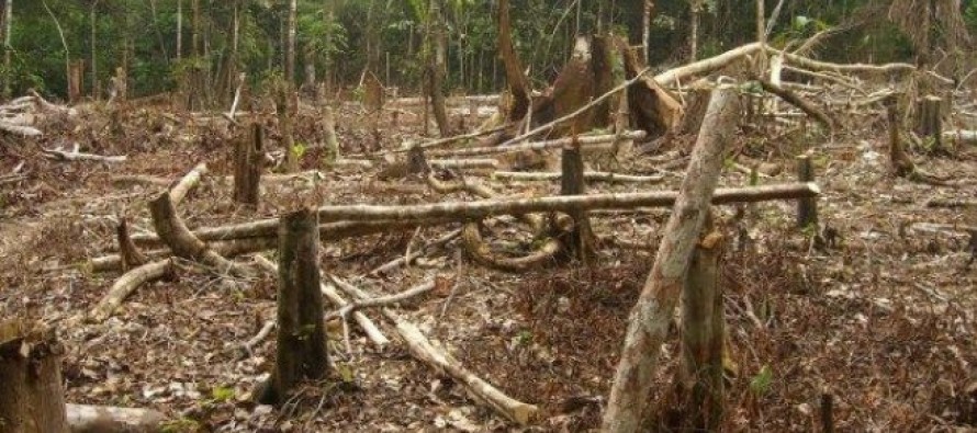 WWF Paraguay critica a Cartes: «No se puede mentir al mundo»
