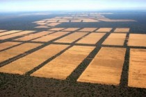 La expansión de la soja en Paraguay