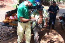 EN DESARROLLO: Primeras fotos de los indígenas heridos por «capangas» en Itakyry