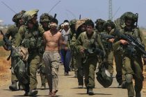 Consejo de Seguridad reafirma que los asentamientos israelíes son ilegales y exige que se les ponga fin