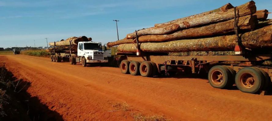 Avanzada deforestación en el Paraguay