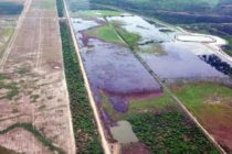 Panchita G saquea 3.800 millones de litros de agua del Río Pilcomayo para su reservorio ilegal