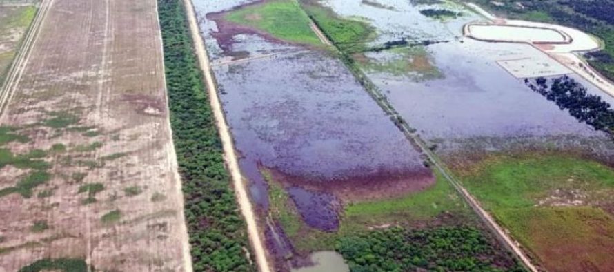 Panchita G saquea 3.800 millones de litros de agua del Río Pilcomayo para su reservorio ilegal