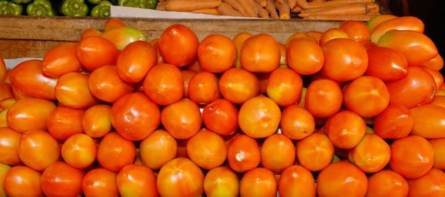 Tomateros se movilizarían ante el masivo contrabando