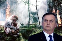 Los intereses detrás de los incendios en el Amazonas. La responsabilidad de Bolsonaro y los poderes globales